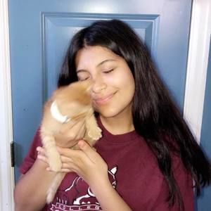 Meet your Posher, Dinora